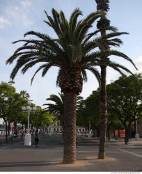 Photo of Mixed Textures